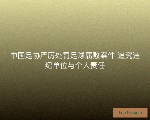 中国足协严厉处罚足球腐败案件 追究违纪单位与个人责任