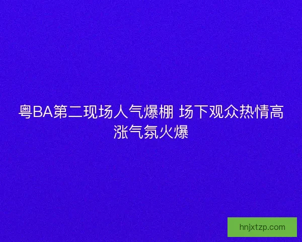粤BA第二现场人气爆棚 场下观众热情高涨气氛火爆